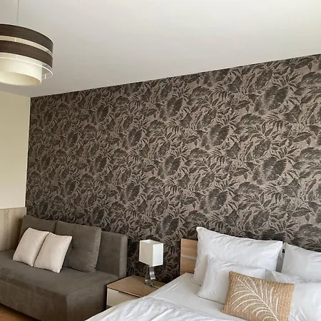 And 2 Apartment Velence