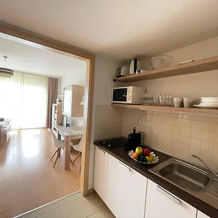 Apartment And 2 Velence