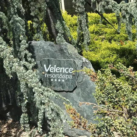 And 2 Apartment Velence